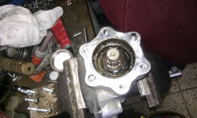 Track rear end (5).jpg